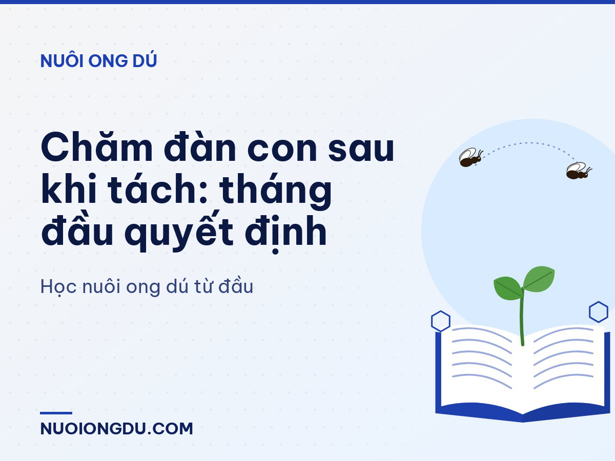 Chăm đàn con sau khi tách: tháng đầu quyết định