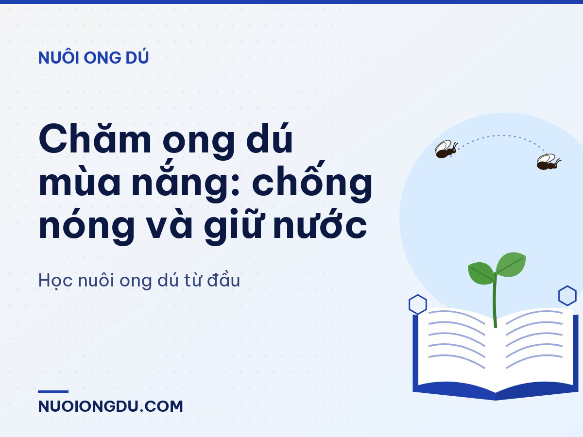 Chăm ong dú mùa nắng: chống nóng và giữ nước