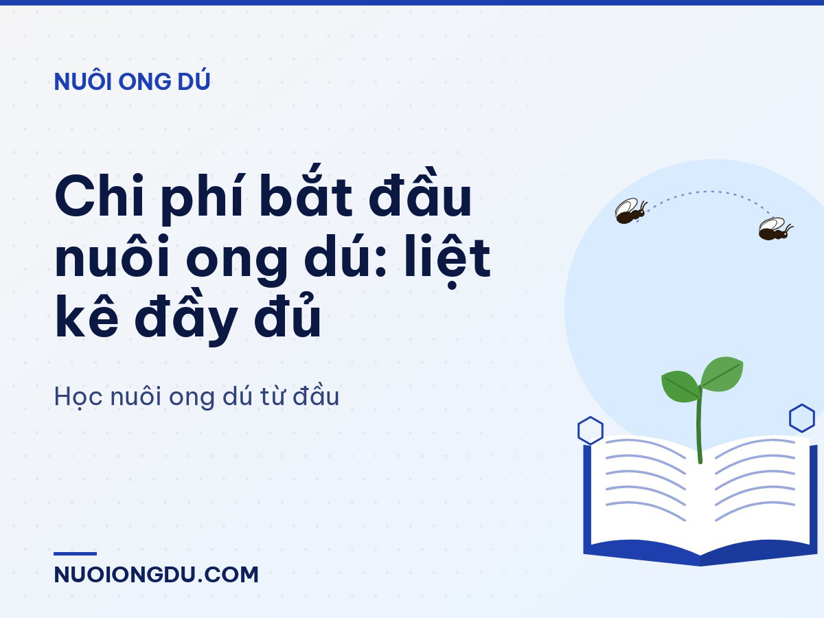 Chi phí bắt đầu nuôi ong dú: liệt kê đầy đủ