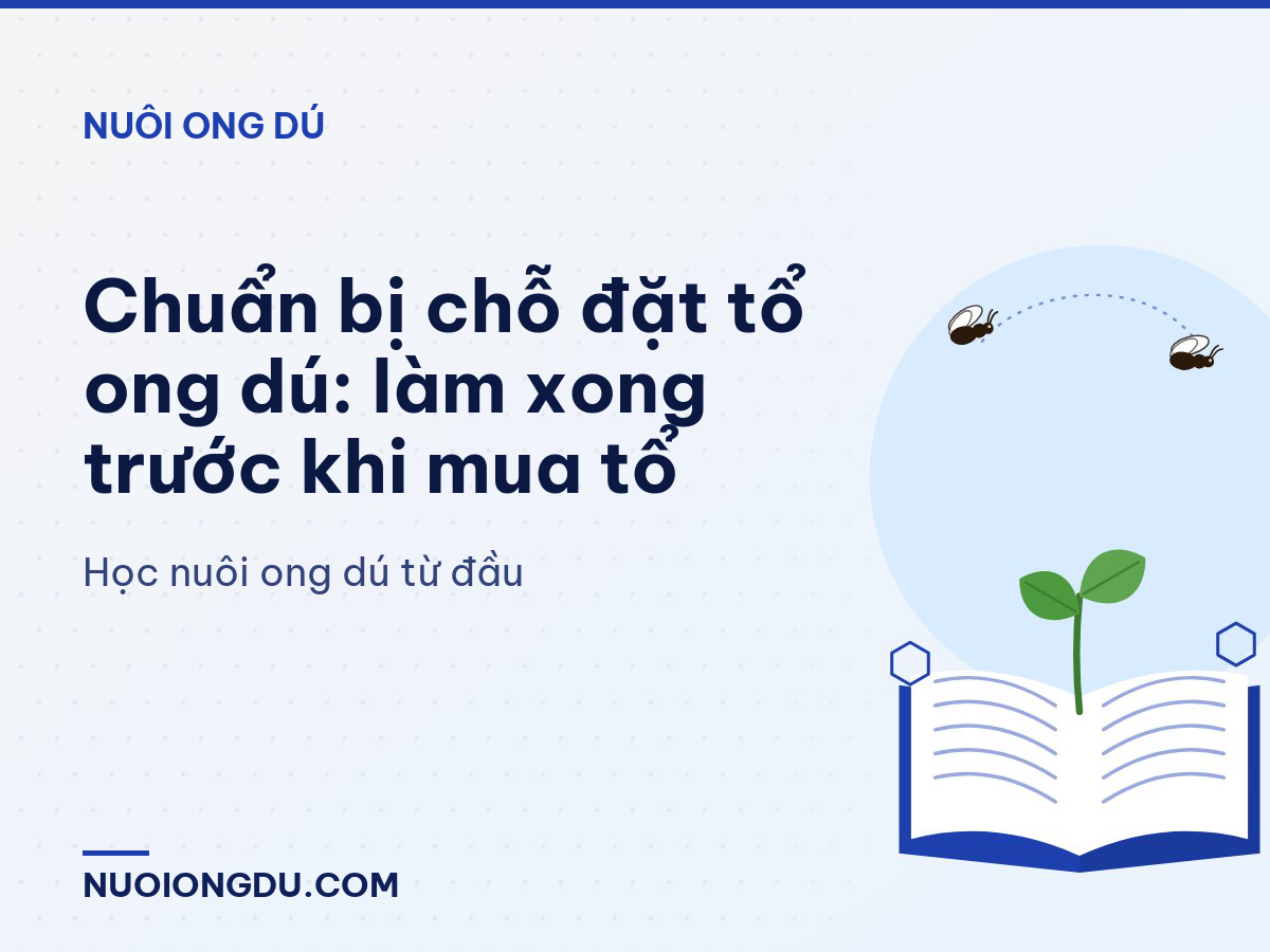 Chuẩn bị chỗ đặt tổ ong dú: làm xong trước khi mua tổ