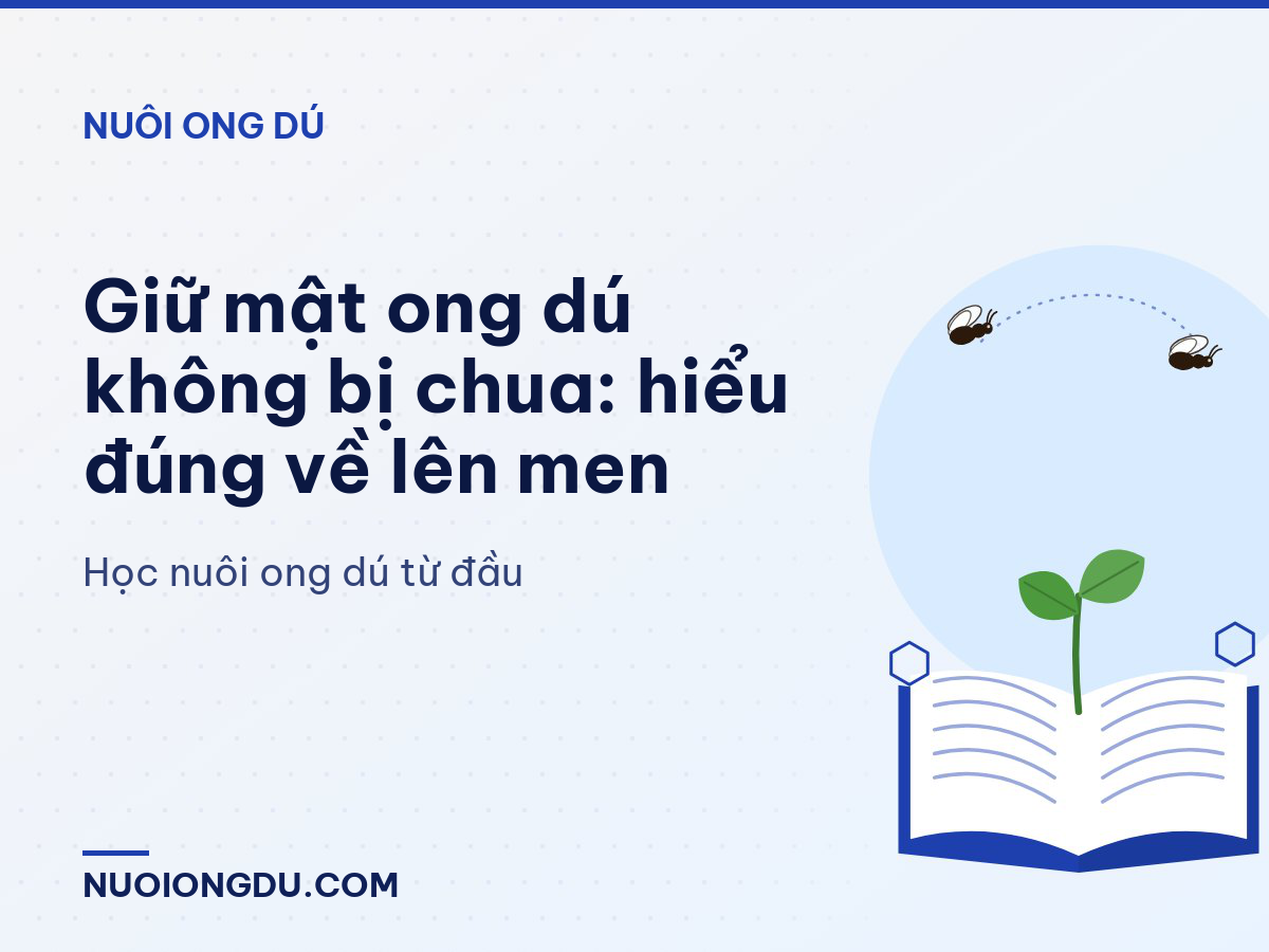 Giữ mật ong dú không bị chua: hiểu đúng về lên men