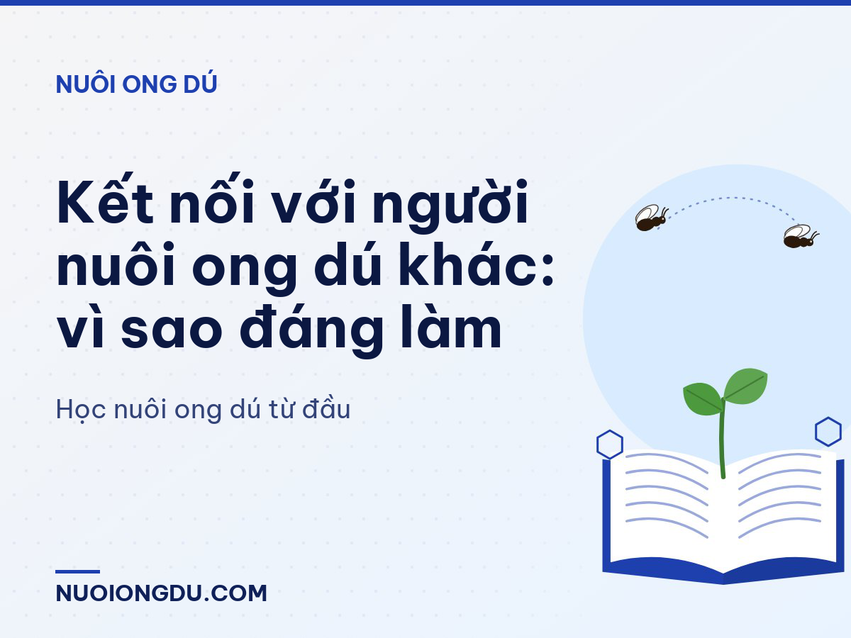 Kết nối với người nuôi ong dú khác: vì sao đáng làm