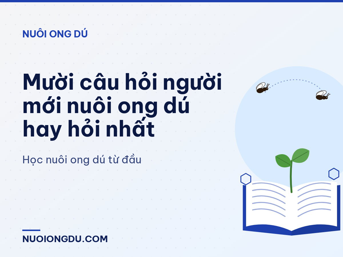 Mười câu hỏi người mới nuôi ong dú hay hỏi nhất