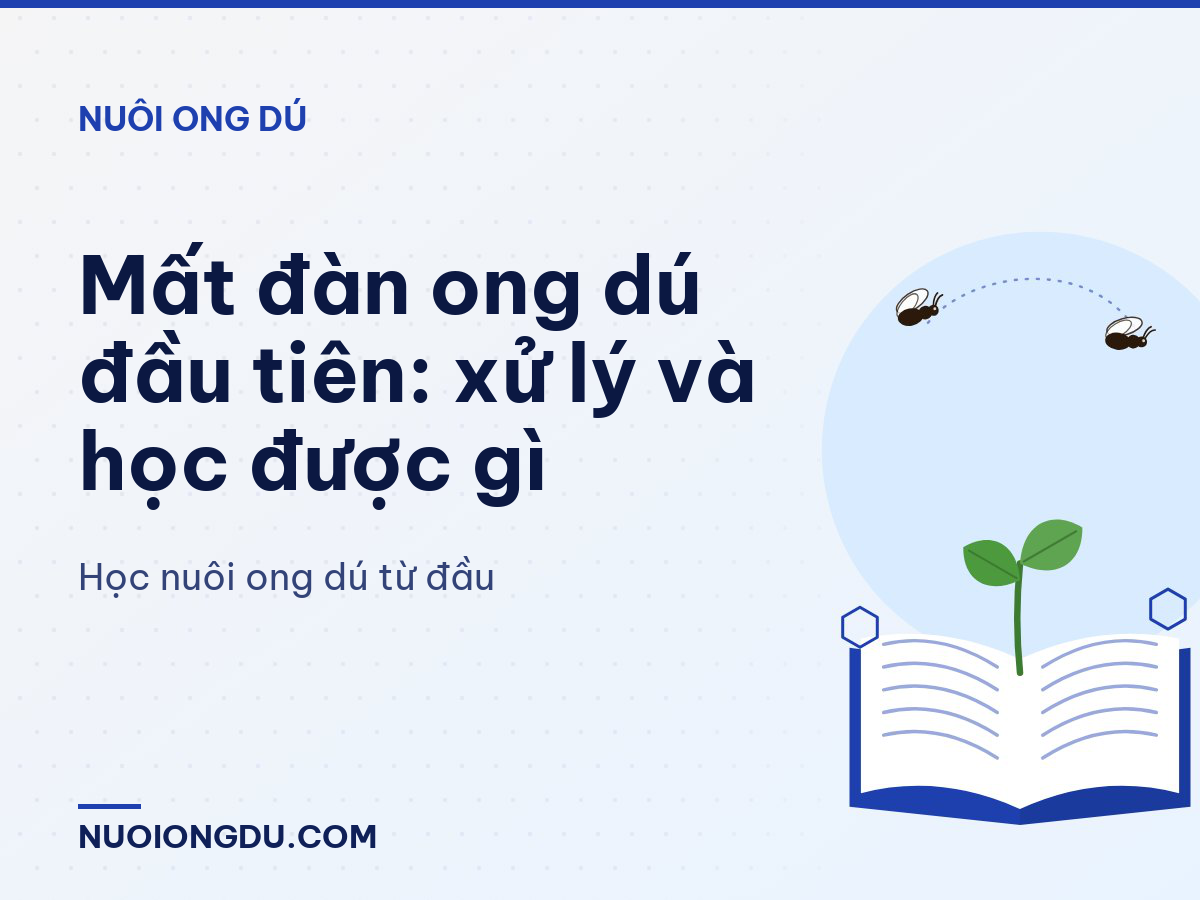 Mất đàn ong dú đầu tiên: xử lý và học được gì