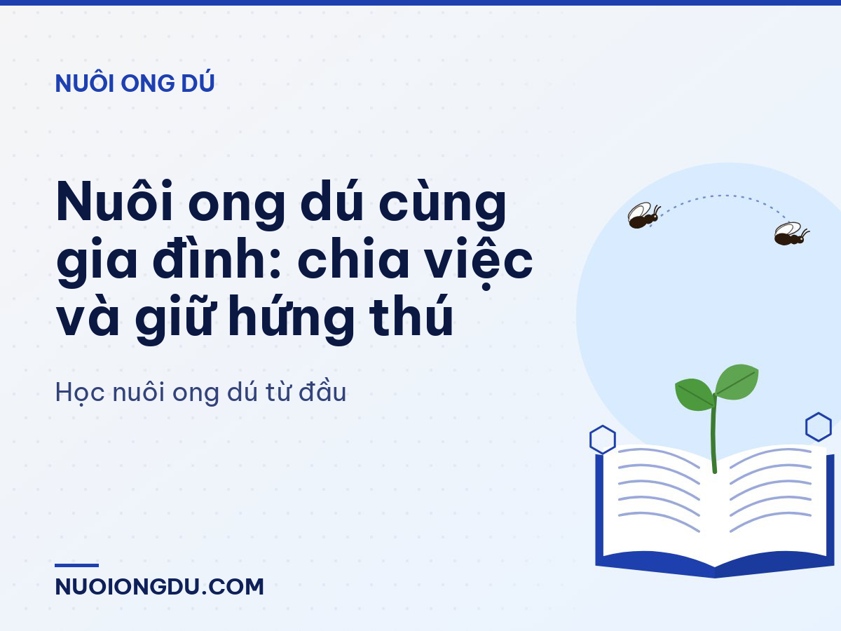 Nuôi ong dú cùng gia đình: chia việc và giữ hứng thú