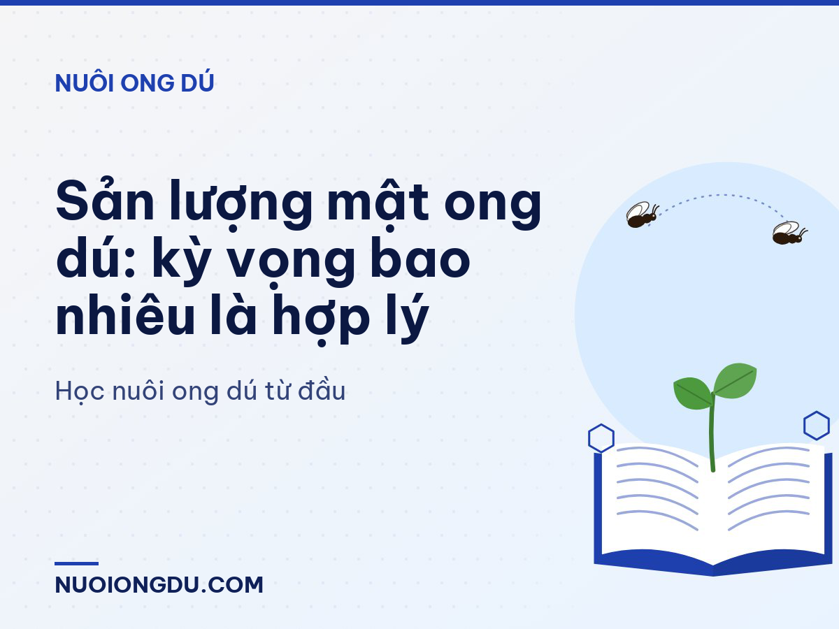 Sản lượng mật ong dú: kỳ vọng bao nhiêu là hợp lý