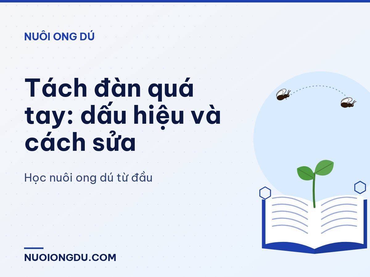 Tách đàn quá tay: dấu hiệu và cách sửa