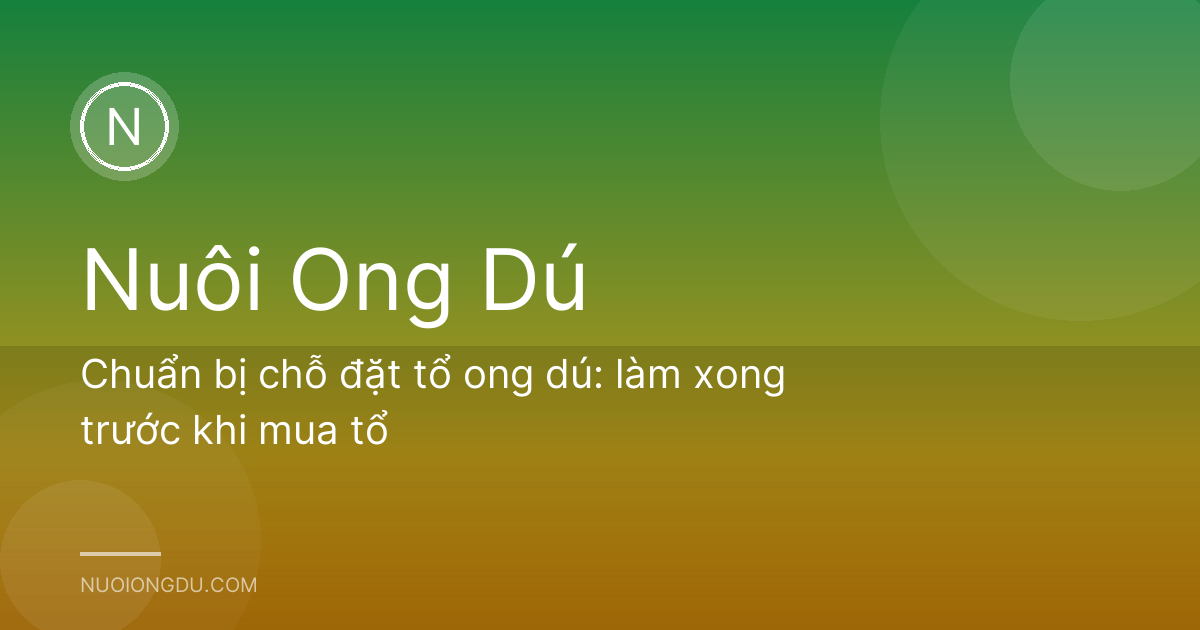 Chuẩn bị chỗ đặt tổ ong dú: làm xong trước khi mua tổ