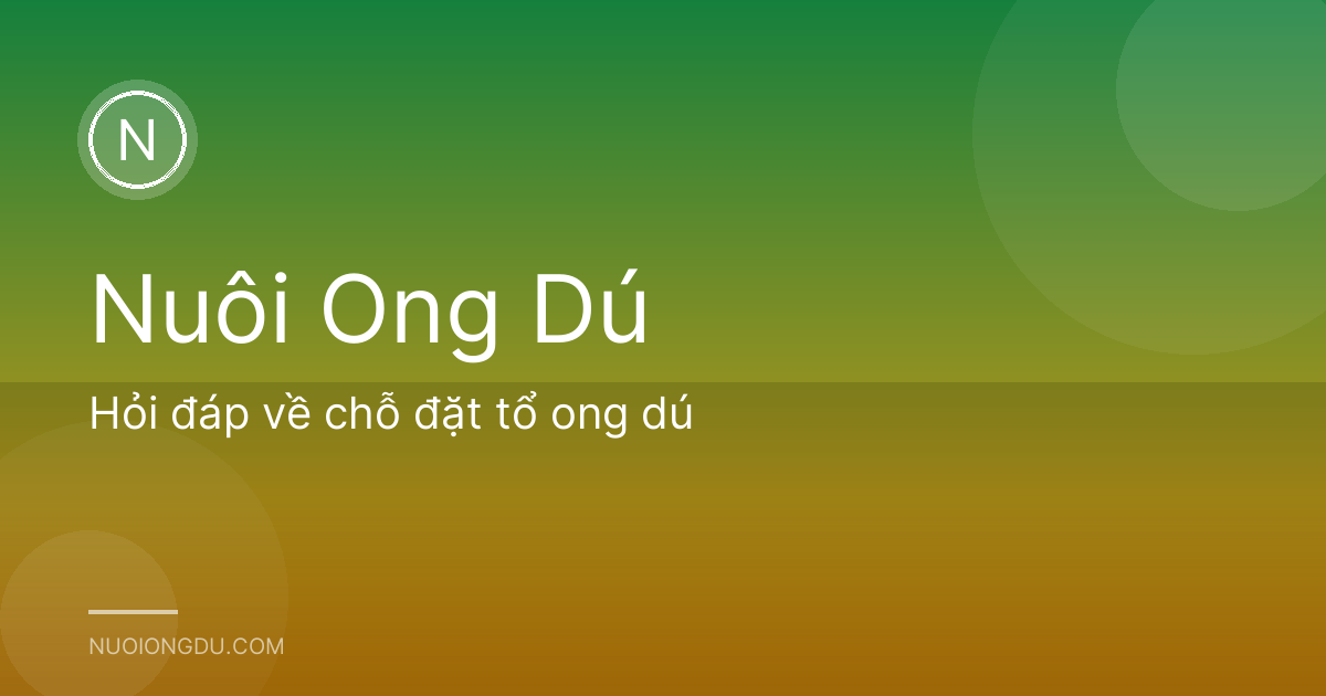 Hỏi đáp về chỗ đặt tổ ong dú