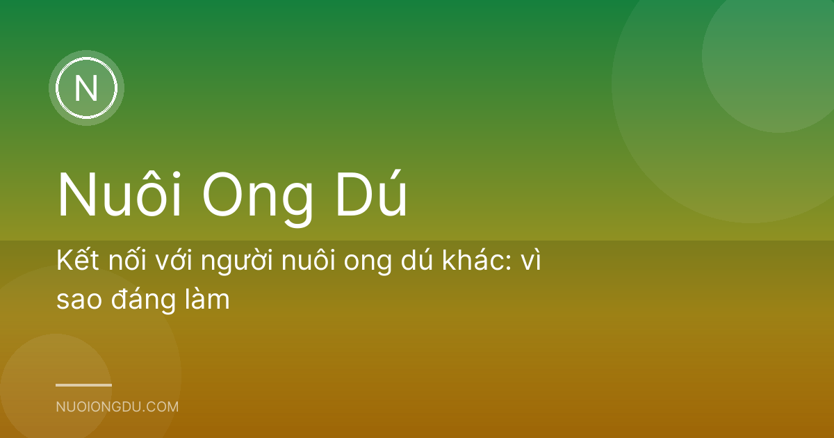 Kết nối với người nuôi ong dú khác: vì sao đáng làm