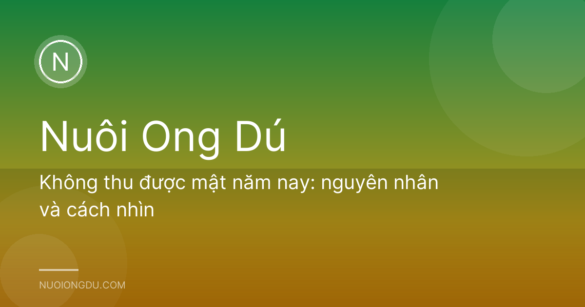 Không thu được mật năm nay: nguyên nhân và cách nhìn