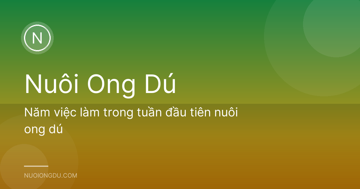 Năm việc làm trong tuần đầu tiên nuôi ong dú
