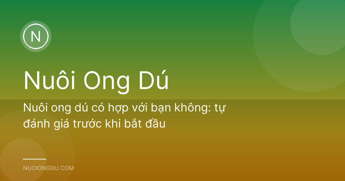 Nuôi ong dú có hợp với bạn không: tự đánh giá trước khi bắt đầu