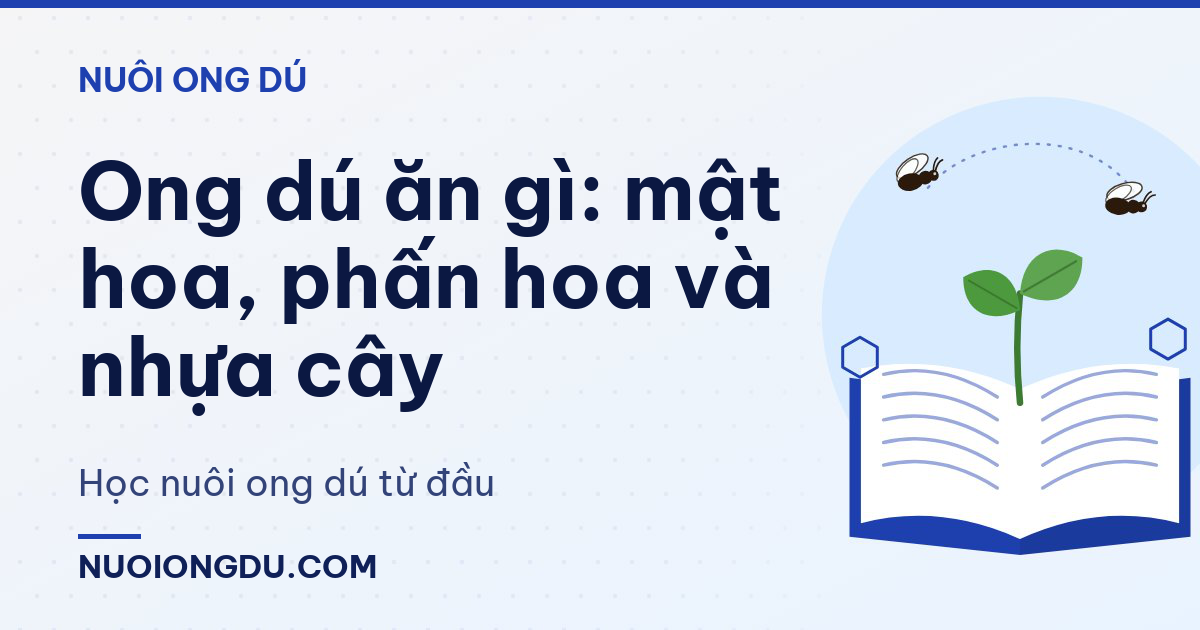 Ong dú ăn gì: mật hoa, phấn hoa và nhựa cây