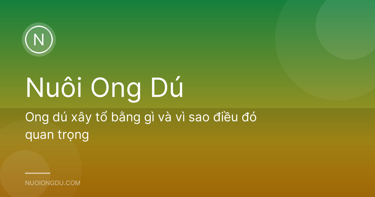 Ong dú xây tổ bằng gì và vì sao điều đó quan trọng