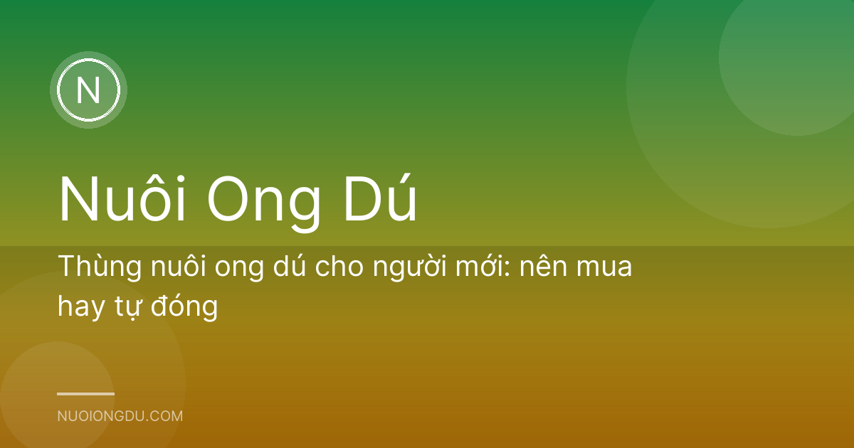 Thùng nuôi ong dú cho người mới: nên mua hay tự đóng